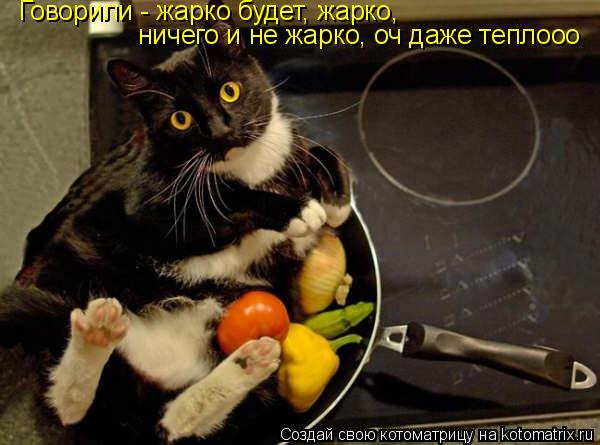 Котоматрица: Говорили - жарко будет, жарко, ничего и не жарко, оч даже теплооо