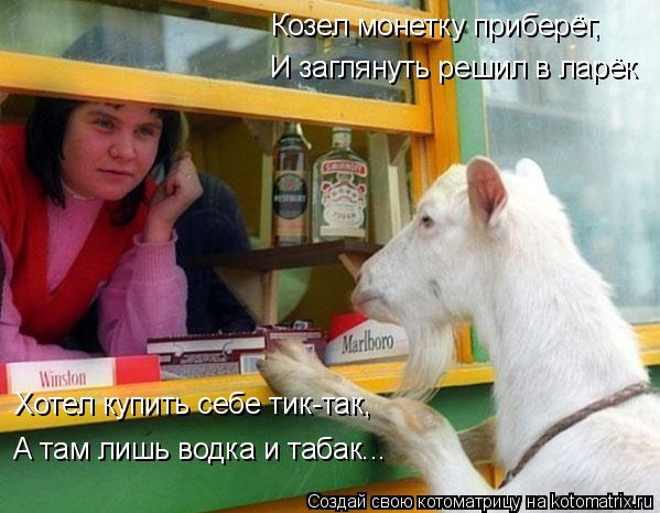 Козел монетку приберёг, И заглянуть решил в ларёк Хотел купить себе тик-так, А там лишь водка и таб... Котоматрица: Козел монетку приберёг, И заглянуть решил в ларёк Хотел купить себе тик-так, А там лишь водка и табак...