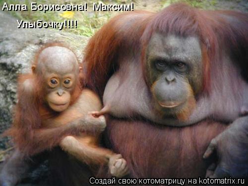 Котоматрица: Алла Борисовна! Максим! Улыбочку!!!!