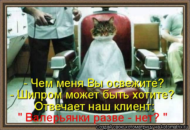 - Шипром может быть хотите? - Чем меня Вы освежите? Отвечает наш клиент: " Валерьянки разве - нет? "... Котоматрица: - Шипром может быть хотите? - Чем меня Вы освежите? Отвечает наш клиент: " Валерьянки разве - нет? "