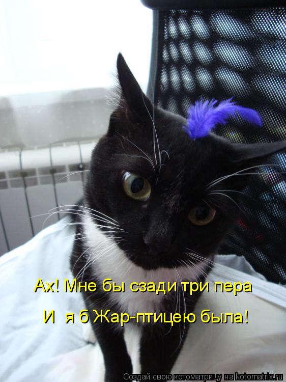 Котоматрица: Ах! Мне бы сзади три пера И  я б Жар-птицею была!