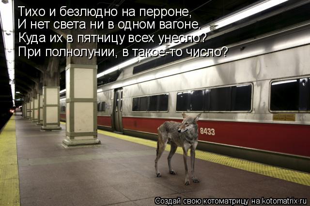 Тихо и безлюдно на перроне, И нет света ни в одном вагоне. Куда их в пятницу всех унесло? При полнолу... Котоматрица: Тихо и безлюдно на перроне, И нет света ни в одном вагоне. Куда их в пятницу всех унесло? При полнолунии, в такое-то число?