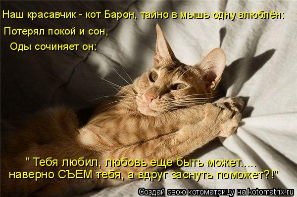 Котоматрица: Оды сочиняет он: Наш красавчик - кот Барон, тайно в мышь одну влюблён: Потерял покой и сон, наверно СЪЕМ тебя, а вдруг заснуть поможет?!" " Тебя 