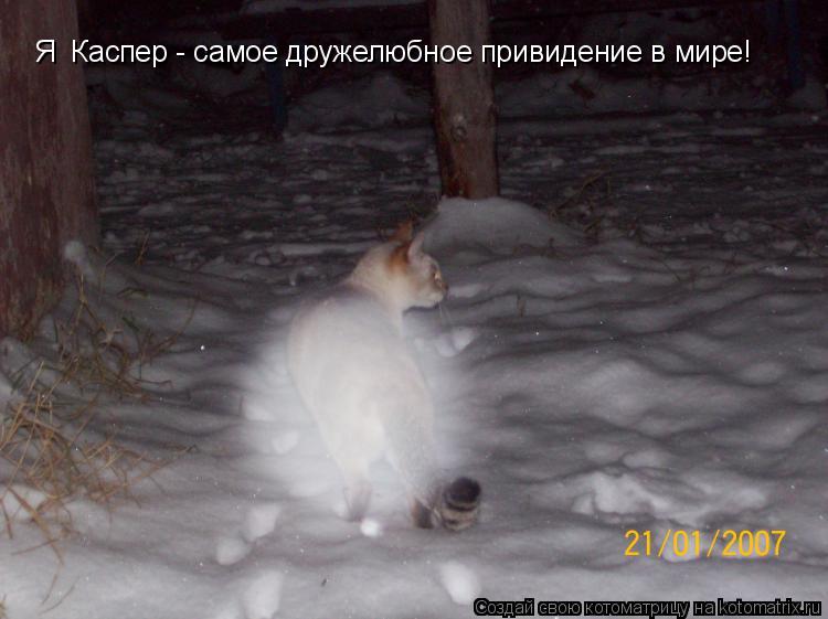 Котоматрица: Я  Каспер - самое дружелюбное привидение в мире!