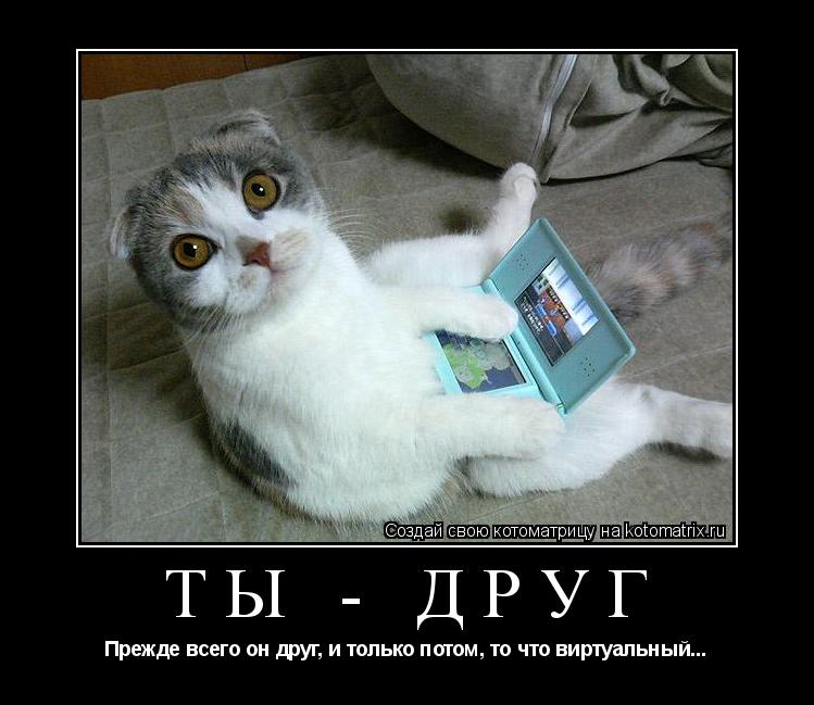 Котоматрица: ТЫ - ДРУГ Прежде всего он друг, и только потом, то что виртуальный...