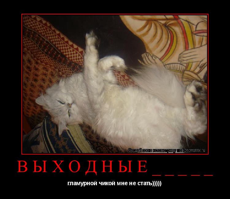 Котоматрица: ВЫХОДНЫЕ_____ гламурной чикой мне не стать)))))
