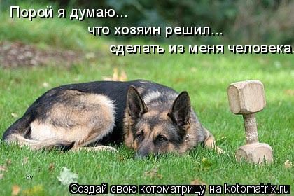 Котоматрица: Порой я думаю... что хозяин решил... сделать из меня человека.