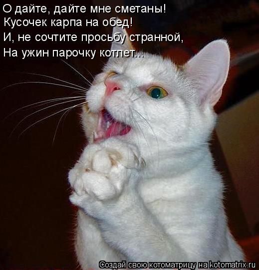 О дайте, дайте мне сметаны! Кусочек карпа на обед! И, не сочтите просьбу странной, На ужин парочку ко... Котоматрица: О дайте, дайте мне сметаны! Кусочек карпа на обед! И, не сочтите просьбу странной, На ужин парочку котлет...