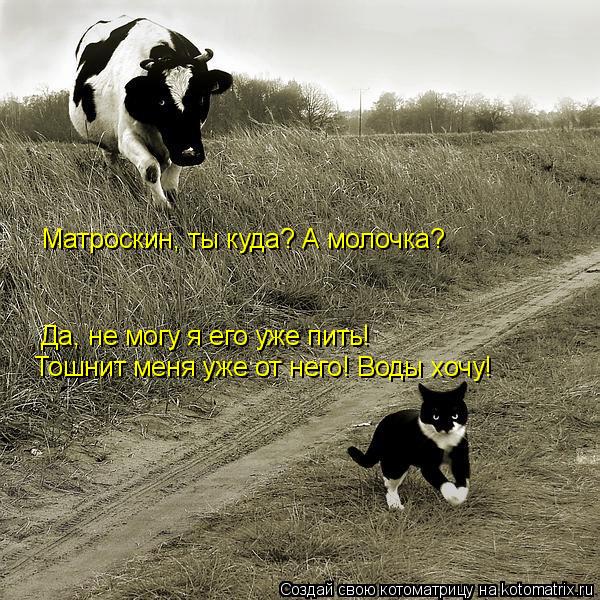 Матроскин, ты куда? А молочка? Да, не могу я его уже пить! Тошнит меня уже от него! Воды хочу!... Котоматрица: Матроскин, ты куда? А молочка? Да, не могу я его уже пить! Тошнит меня уже от него! Воды хочу!