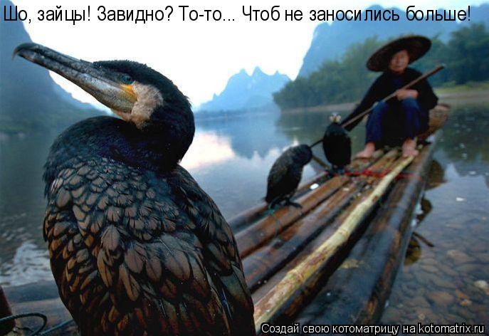 Шо, зайцы! Завидно? То-то... Чтоб не заносились больше!... Котоматрица: Шо, зайцы! Завидно? То-то... Чтоб не заносились больше!