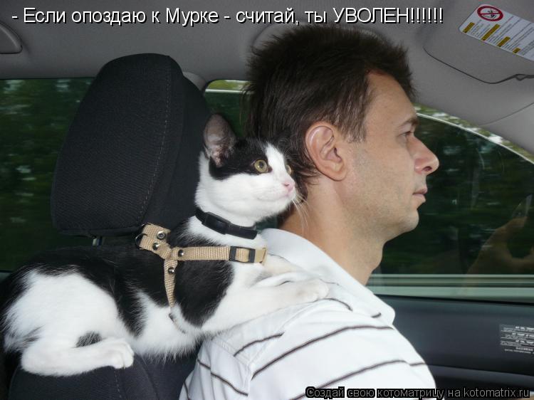 - Если опоздаю к Мурке - считай, ты УВОЛЕН!!!!!!... Котоматрица: - Если опоздаю к Мурке - считай, ты УВОЛЕН!!!!!!
