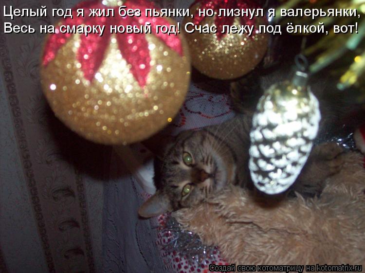 Котоматрица: Целый год я жил без пьянки, но лизнул я валерьянки, Весь на смарку новый год! Счас лежу под ёлкой, вот!