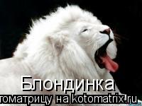 Котоматрица: Блондинка