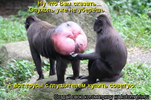 Котоматрица: Ну что Вам сказать... Опухоль уже не уберёшь. А вот трусы с глушителем,купить советую...