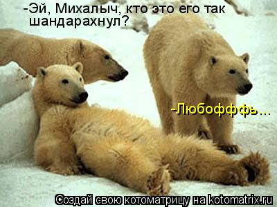 Котоматрица: -Эй, Михалыч, кто это его так шандарахнул? -Любофффь...