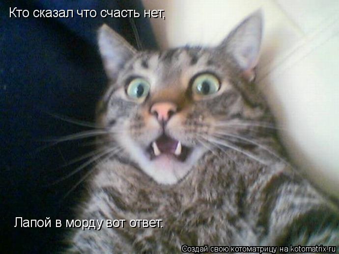 Котоматрица: Кто сказал что счасть нет, Лапой в морду вот ответ.