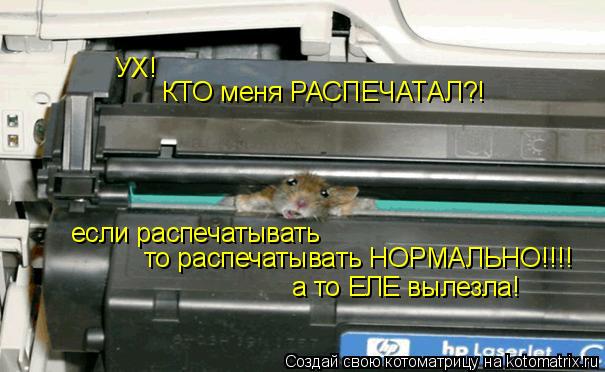 Котоматрица: УХ! КТО меня РАСПЕЧАТАЛ?! если распечатывать то распечатывать НОРМАЛЬНО!!!! а то ЕЛЕ вылезла!