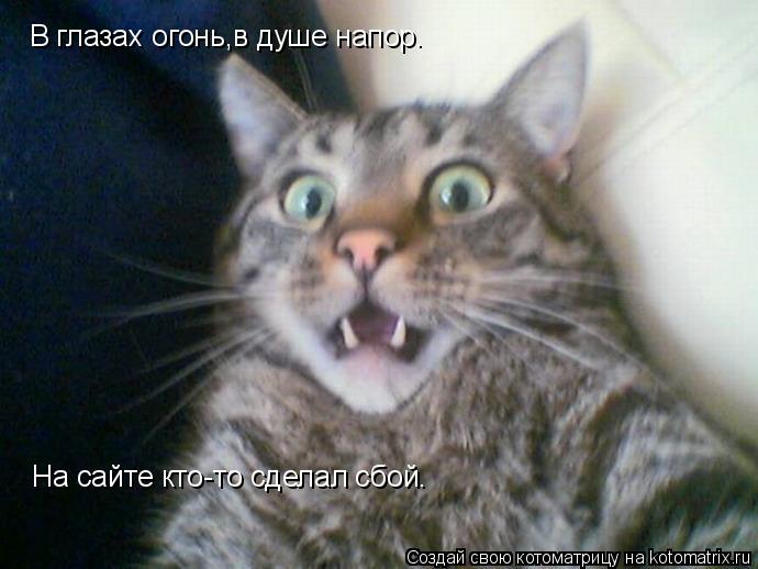 Котоматрица: В глазах огонь,в душе напор. На сайте кто-то сделал сбой.