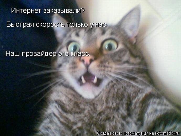 Котоматрица: Интернет заказывали? Быстрая скорость только у нас. Наш провайдер это класс.