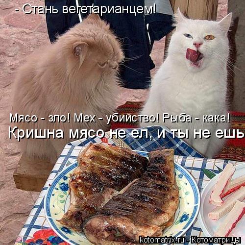 Котоматрица: - Стань вегетарианцем! Мясо - зло! Мех - убийство! Рыба - кака!  Кришна мясо не ел, и ты не ешь!