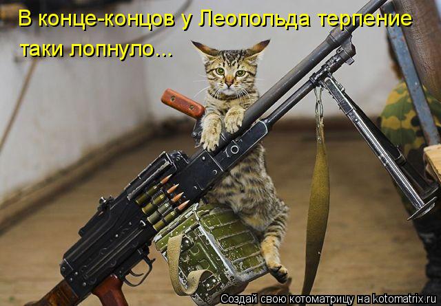 Котоматрица: В конце-концов у Леопольда терпение таки лопнуло...