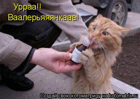 Котоматрица: Урраа!! Ваалерьяяянкааа!
