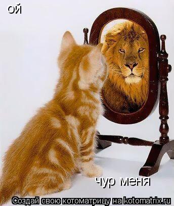 Котоматрица: ой  чур меня