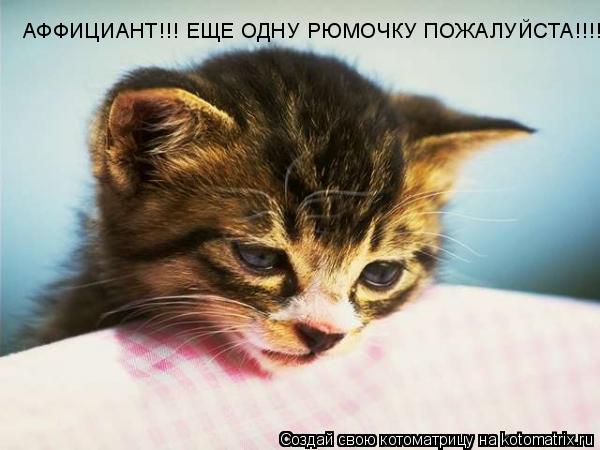 Котоматрица: АФФИЦИАНТ!!! ЕЩЕ ОДНУ РЮМОЧКУ ПОЖАЛУЙСТА!!!!