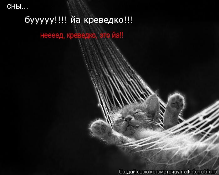 Котоматрица: сны... бууууу!!!! йа креведко!!! неееед, креведко, это йа!!