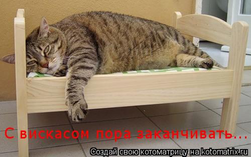 Котоматрица: С вискасом пора заканчивать...
