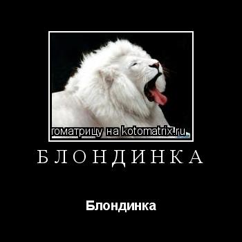 Котоматрица: Блондинка Блондинка
