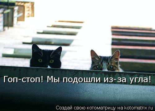 Котоматрица: Гоп-стоп! Мы подошли из-за угла!