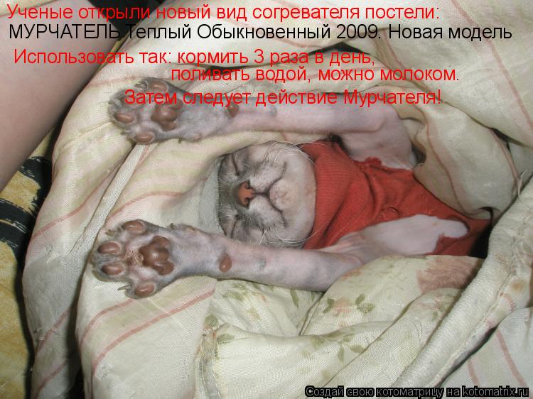 Котоматрица: Ученые открыли новый вид согревателя постели: Использовать так: кормить 3 раза в день,  поливать водой, можно молоком. Затем следует действи