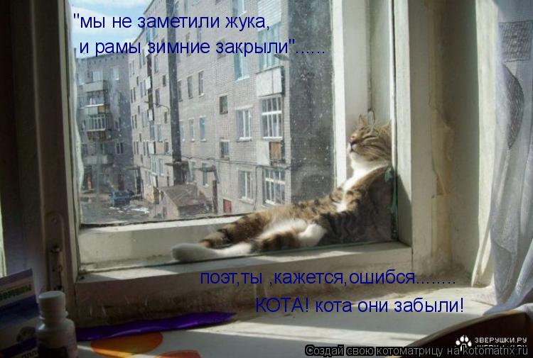 "мы не заметили жука, и рамы зимние закрыли"...... поэт,ты ,кажется,ошибся........ КОТА! кота они заб... Котоматрица: "мы не заметили жука, и рамы зимние закрыли"...... поэт,ты ,кажется,ошибся........ КОТА! кота они забыли!