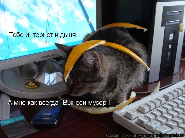 Котоматрица: Тебе интернет и дыня!  А мне как всегда 'Вынеси мусор'!