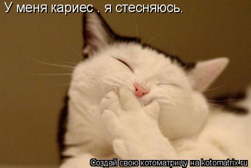 Котоматрица: У меня кариес – я стесняюсь.