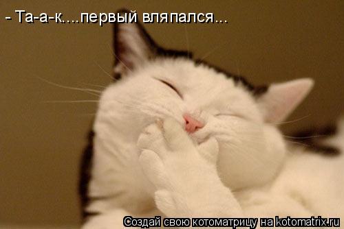 Котоматрица: - Та-а-к....первый вляпался...