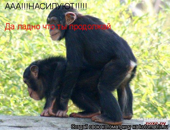 ААА!!!НАСИЛУЮТ!!!!! Да ладно что ты продолжай... Котоматрица: ААА!!!НАСИЛУЮТ!!!!! Да ладно что ты продолжай