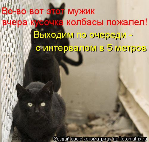 с интервалом в 5 метров Выходим по очереди - Во-во вот этот мужик вчера кусочка колбасы пожалел!... Котоматрица: с интервалом в 5 метров Выходим по очереди - Во-во вот этот мужик вчера кусочка колбасы пожалел!