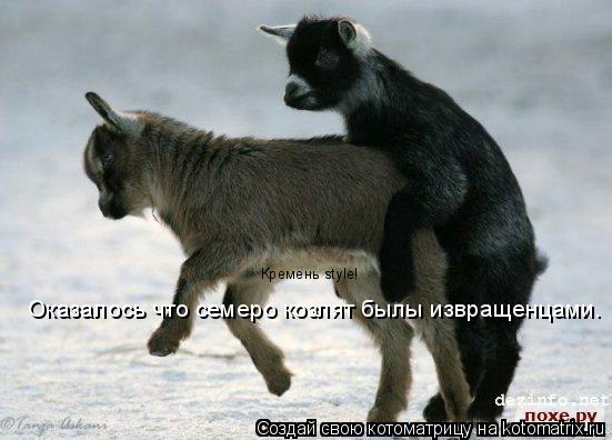 Оказалось что семеро козлят былы извращенцами. Кремень style!... Котоматрица: Оказалось что семеро козлят былы извращенцами. Кремень style!