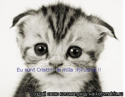 Eu sunt Cristi!!! ai mila :P,Pushok!!... Котоматрица: Eu sunt Cristi!!! ai mila :P,Pushok!!