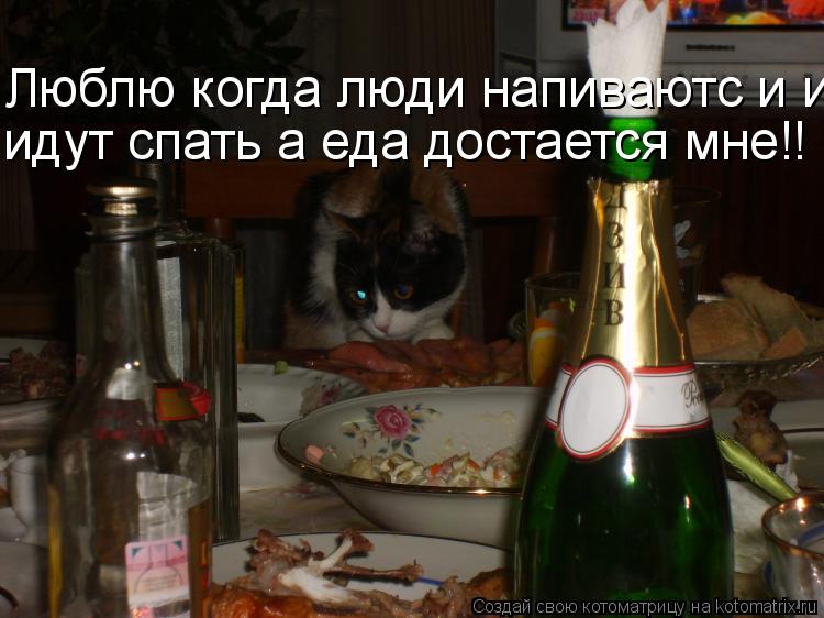Люблю когда люди напиваютс и идут идут спать а еда достается мне!!... Котоматрица: Люблю когда люди напиваютс и идут идут спать а еда достается мне!!