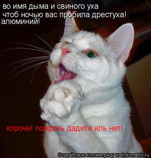 Котоматрица: во имя дыма и свиного уха чтоб ночью вас пробила дрестуха! алюминий! короче! пожрать дадите иль нет!