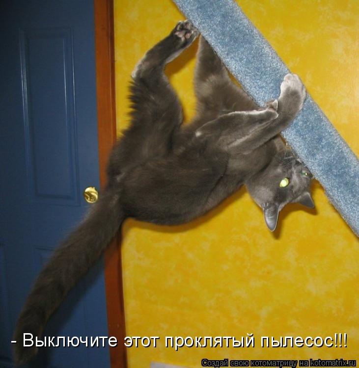 Котоматрица: - Выключите этот проклятый пылесос!!!