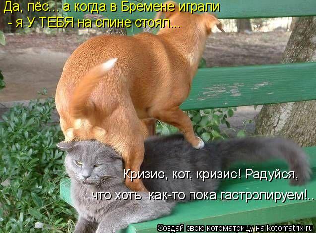 Котоматрица: Да, пёс... а когда в Бремене играли  - я У ТЕБЯ на спине стоял... Кризис, кот, кризис! Радуйся, что хоть  как-то пока гастролируем!..