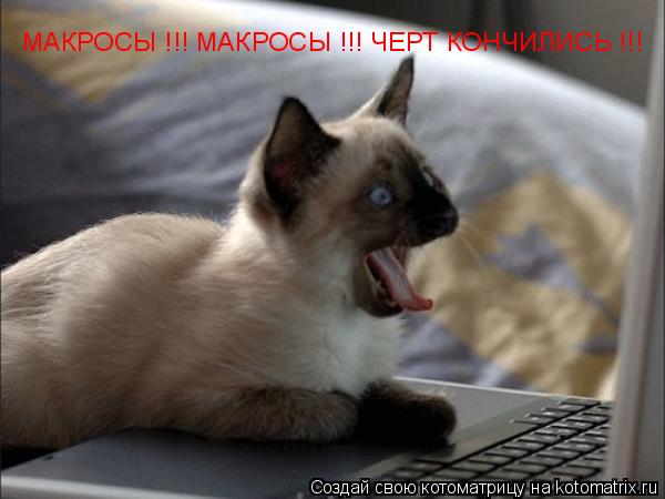 Котоматрица: МАКРОСЫ !!! МАКРОСЫ !!! ЧЕРТ КОНЧИЛИСЬ !!!