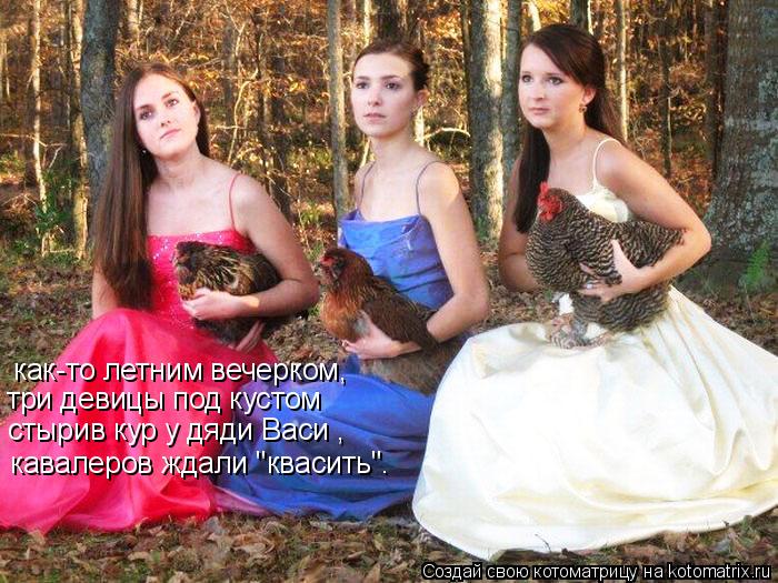 как-то летним вечерком, три девицы под кустом стырив кур у дяди Васи , кавалеров ждали "квасить".... Котоматрица: как-то летним вечерком, три девицы под кустом стырив кур у дяди Васи , кавалеров ждали "квасить".