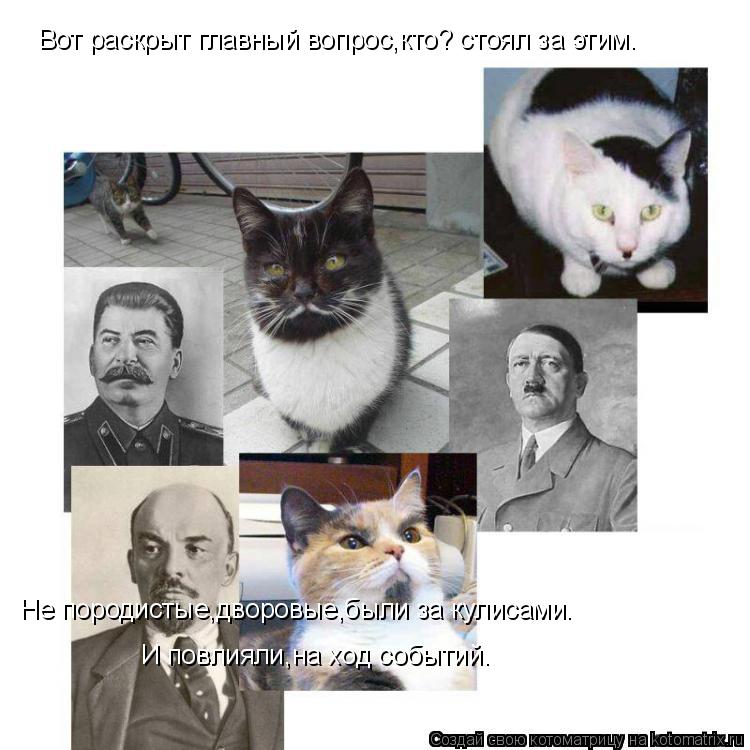 Вот раскрыт главный вопрос,кто? стоял за этим. Не породистые,дворовые,были за кулисами. И повлияли,на... Котоматрица: Вот раскрыт главный вопрос,кто? стоял за этим. Не породистые,дворовые,были за кулисами. И повлияли,на ход событий.