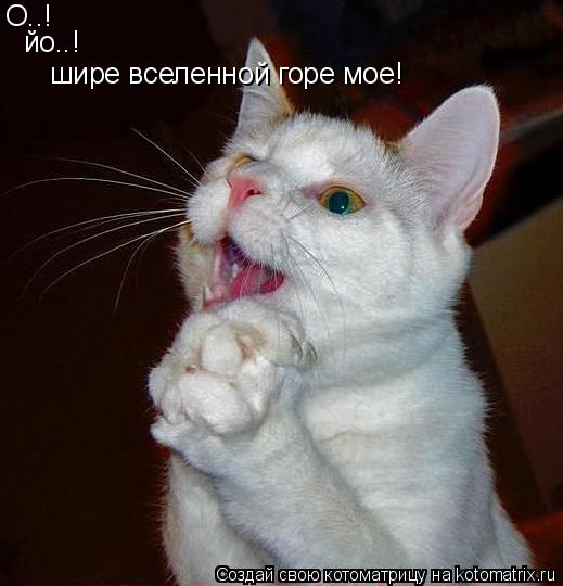 О..! йо..! шире вселенной горе мое!... Котоматрица: О..! йо..! шире вселенной горе мое!