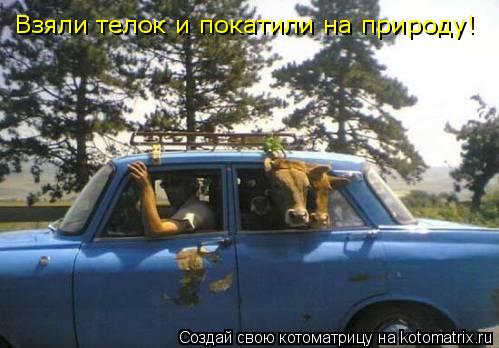 Котоматрица: Взяли телок и покатили на природу!